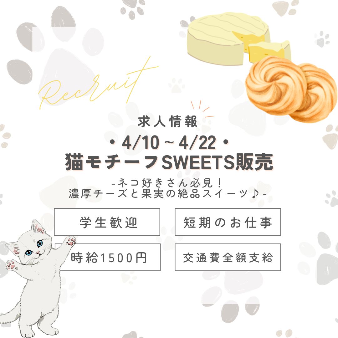 【インスタからご応募ありがとうございます！】短期♪1500円＜4/10～22＞肉球萌え！猫モチーフSWEETS販売＠新宿 (aphs3367)